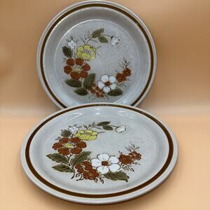 2 Mountain Wood Collection Trellis Blossom Stoneware Dinner Plates Vintage Japan